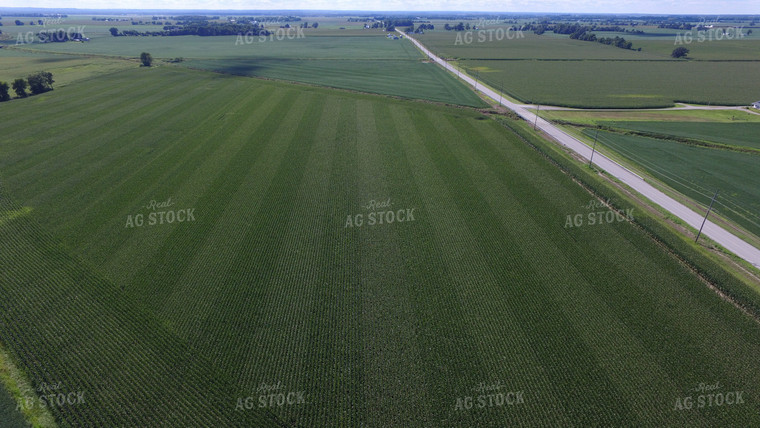 Green Corn Field Drone 85006