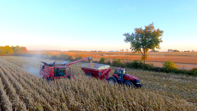 Combine Filling up Grain Cart with Corn 85013