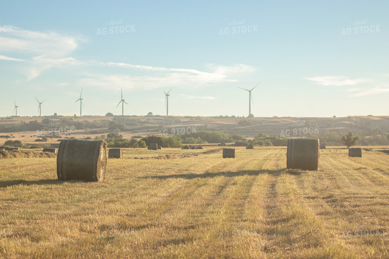 Hay Bales in Field 72085