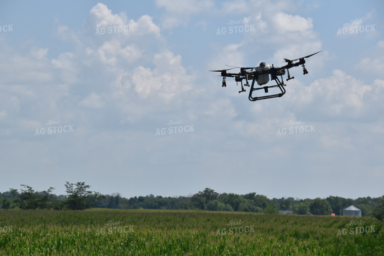 Drone Sprayer Above Corn 84087