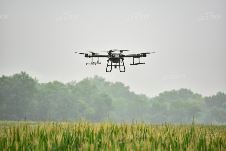 Drone Sprayer Above Corn 85021