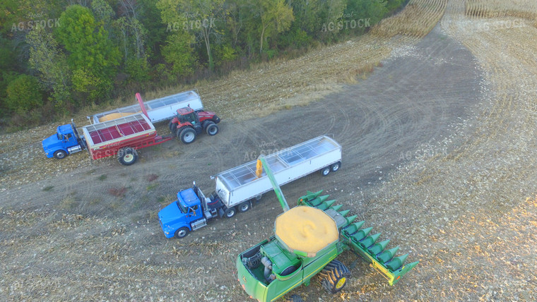 Unloading Corn into Semis 85040