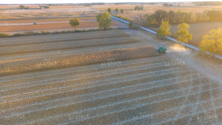 Corn Harvest 85041