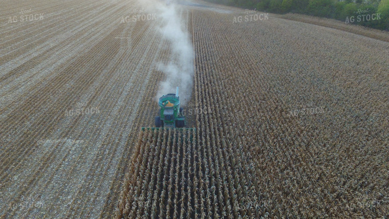 Corn Harvest 85045