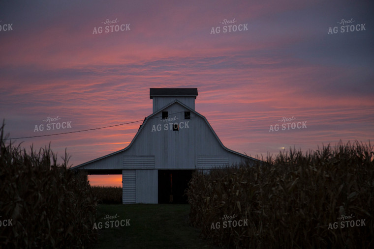 Barn in Sunset 93006