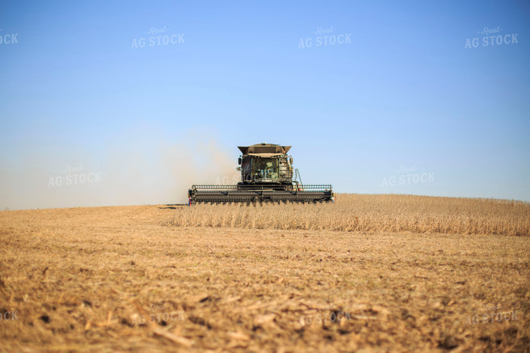 Soybean Harvest 93069