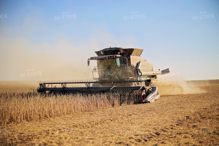 Soybean Harvest 93074