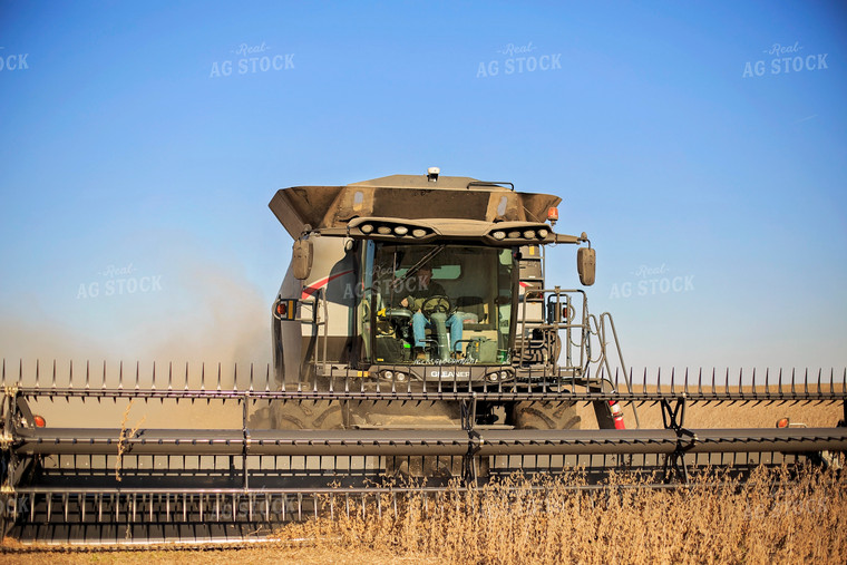 Soybean Harvest 93079