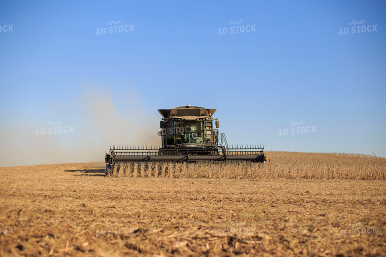 Soybean Harvest 93080