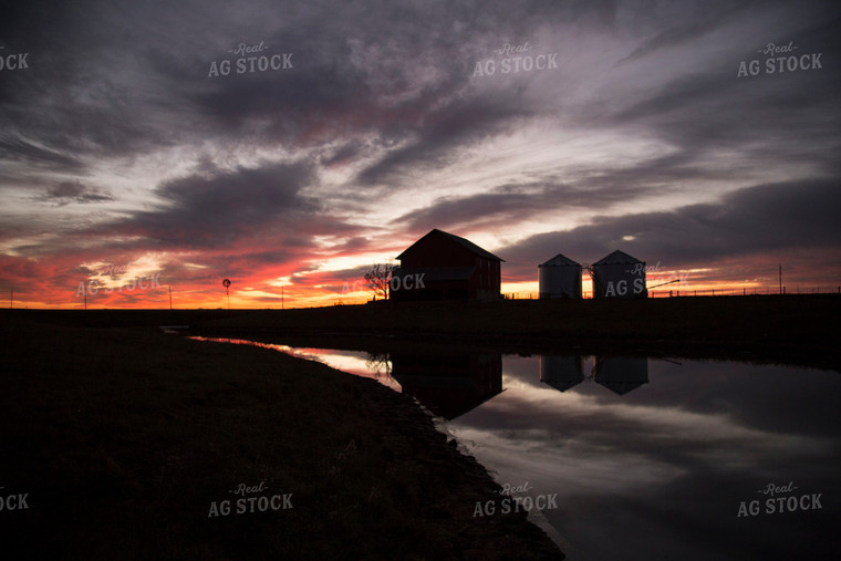 Farmland at Sunset 93099