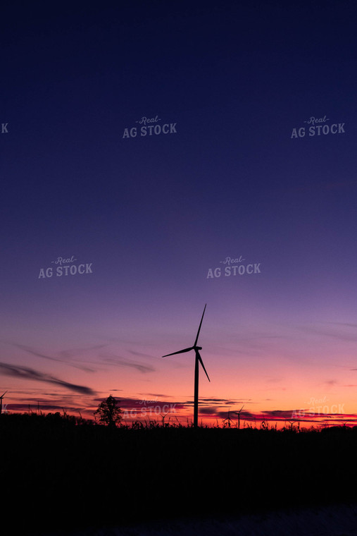 Farmland at Sunset 96028