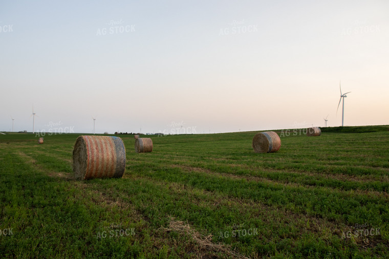 Round Bales in Field 67256