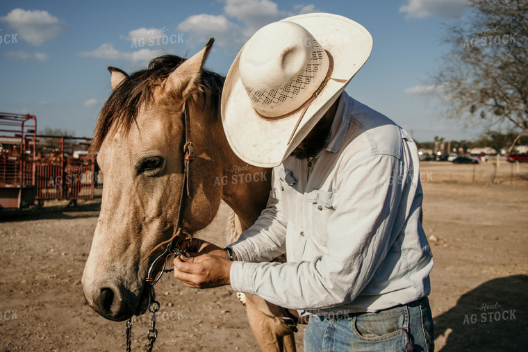 Rancher With Horse 98011