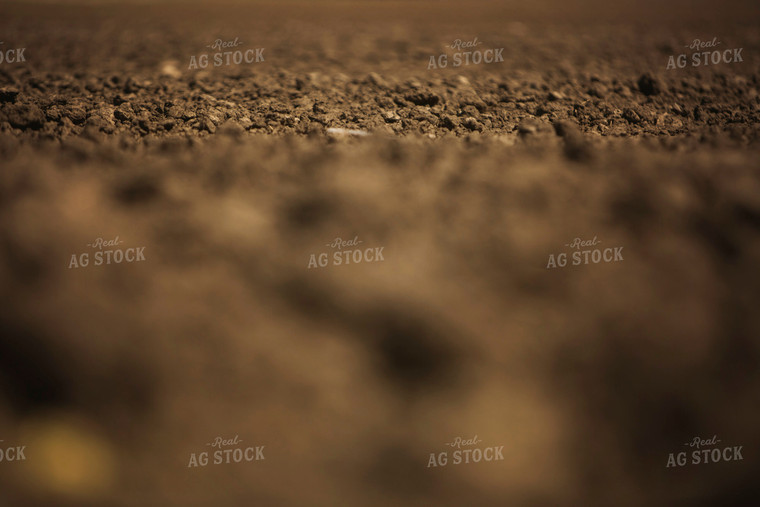 Tilled Soil 6358