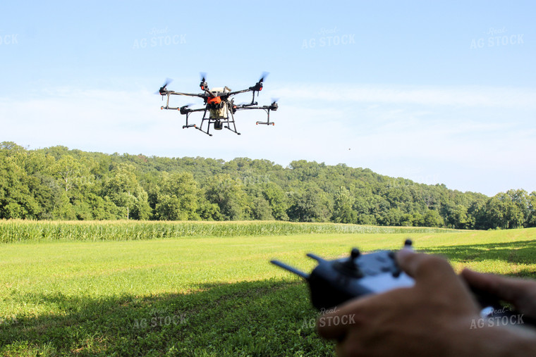 Drone in Field 101012