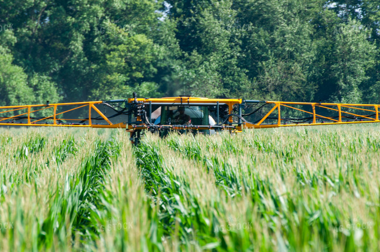 Sprayer Spraying Summer Corn 103008