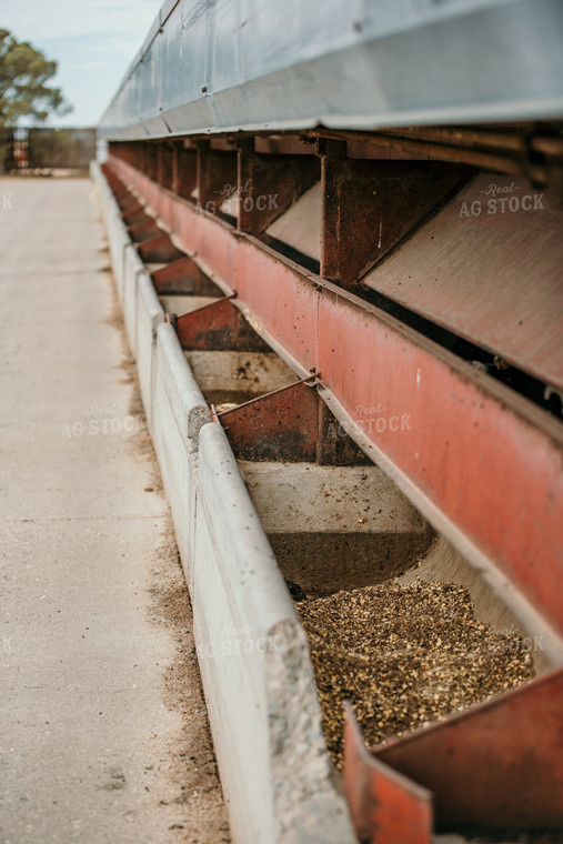 Animal Feed Trough 98029