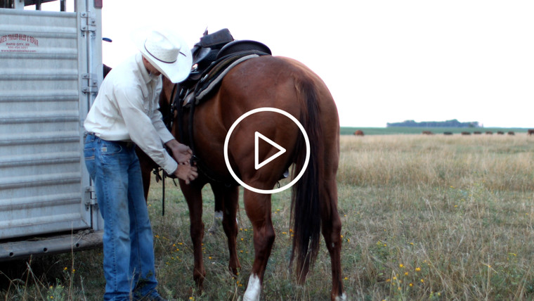 Rancher Saddling Horse 6522