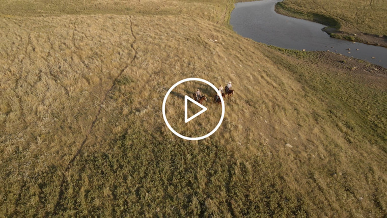 Ranchers on Horseback in Pasture Drone 6532