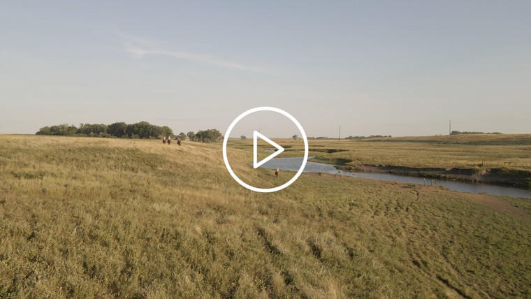 Ranchers on Horseback in Pasture Drone 6533