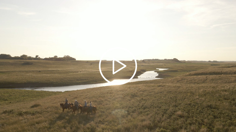 Ranchers on Horseback in Pasture Drone 6536