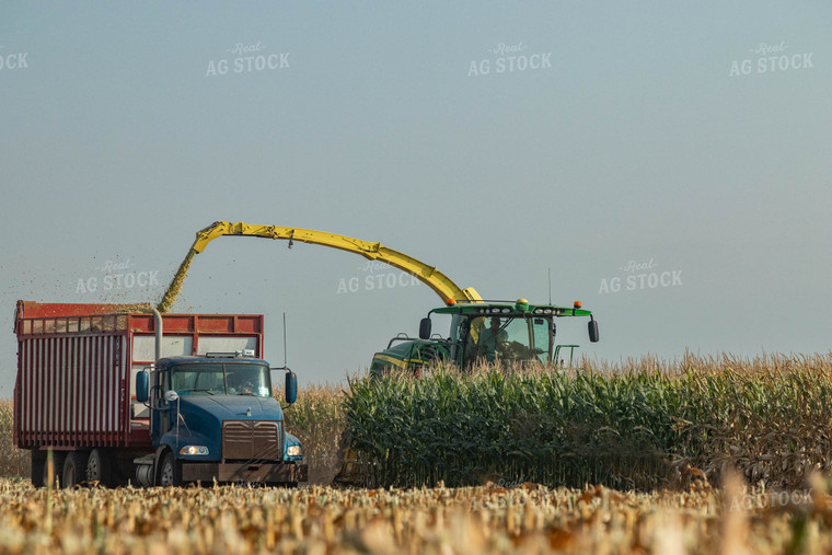 Silage Harvest 72104