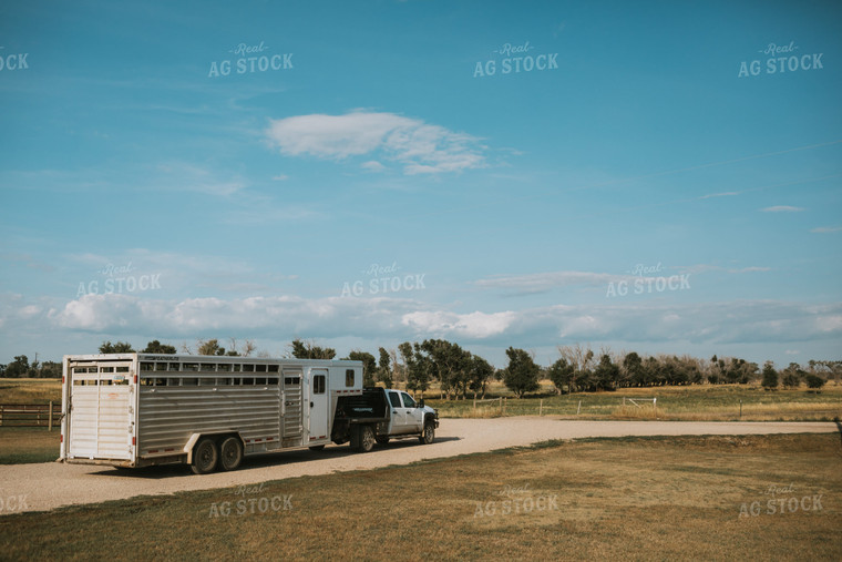 Livestock Trailer 6370