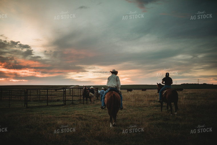 Ranchers on Horses in Pasture at Dusk 6442