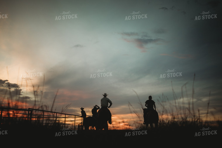 Ranchers on Horses in Pasture at Dusk 6443