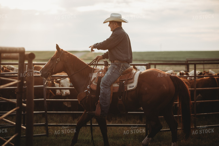 Rancher Near Cattle Pasture 6477