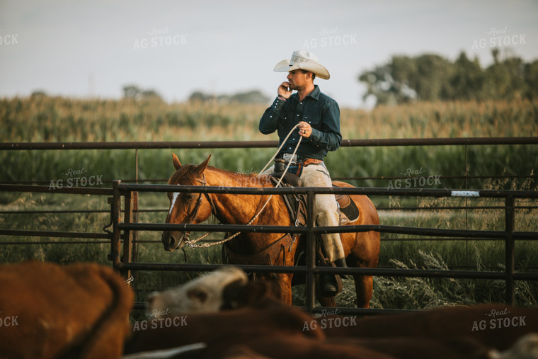 Rancher Near Cattle Pasture 6485