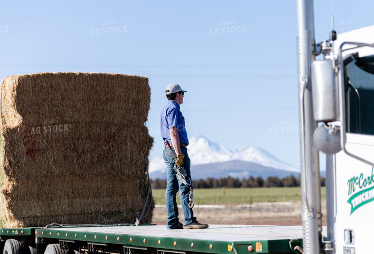 Male Farmer and Hay Bales on Semi Trailer 107000