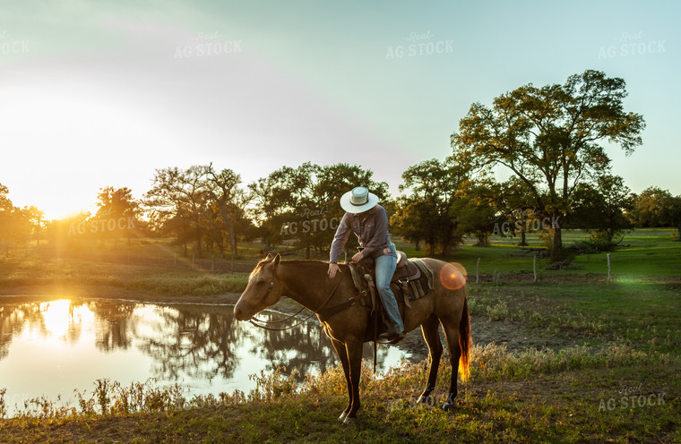 Rancher on Horse 59065