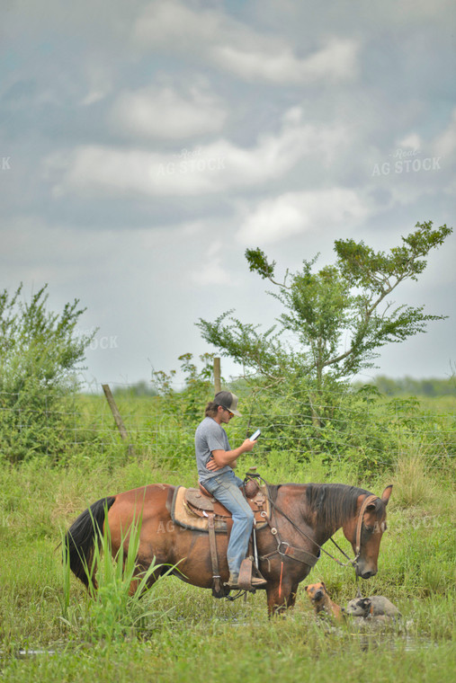 Rancher on Horse 110015