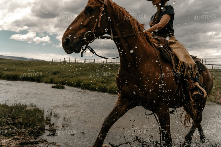 Rancher on Horse in Creek 58198