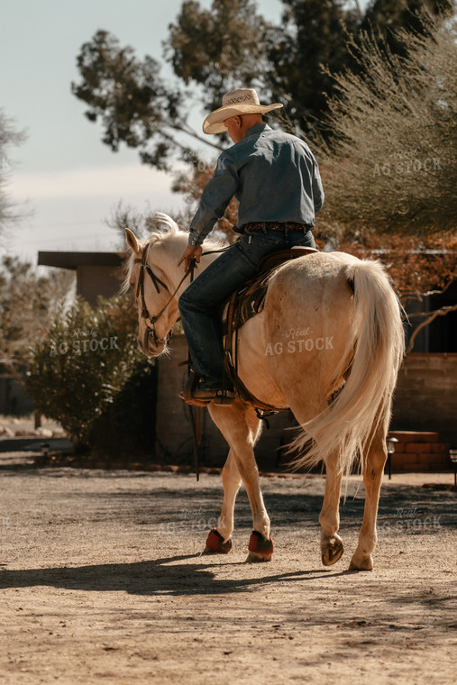 Rancher on Horse 58235