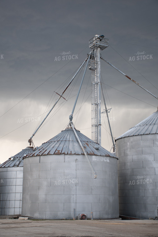 Grain Elevator 50346