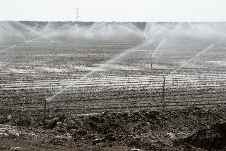 Irrigation System in Field 105095