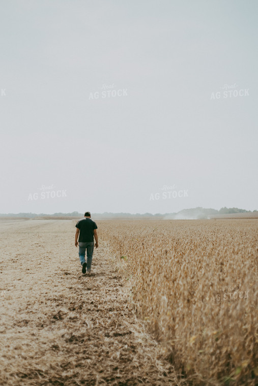 Farmer Walking in Soybean Field 111008