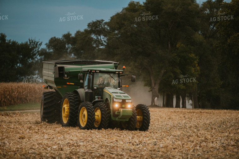 Corn Harvest 6701