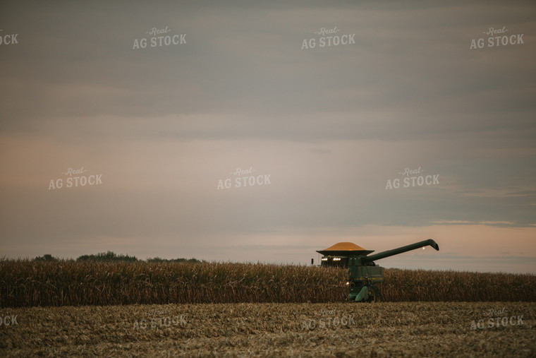 Corn Harvest 6702
