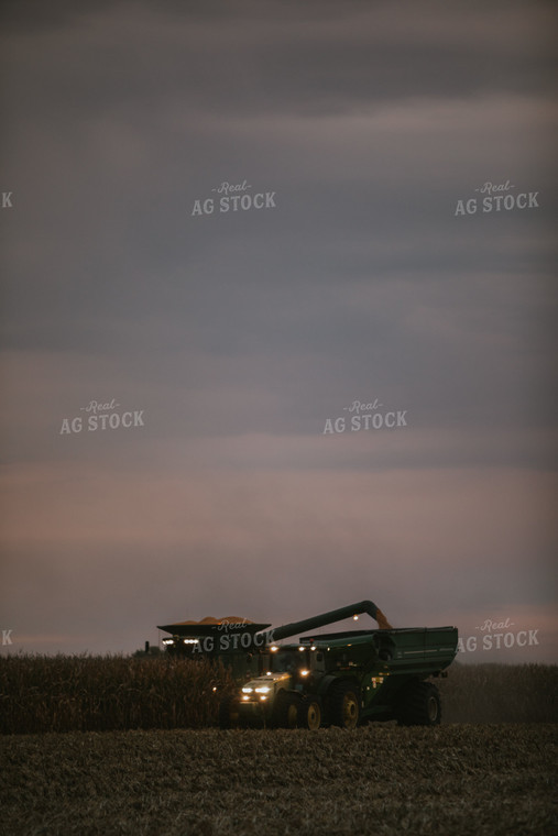 Corn Harvest 6704