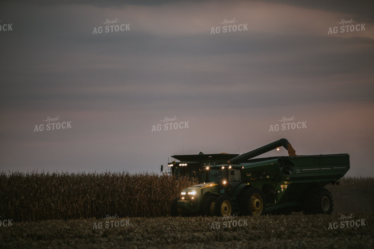 Corn Harvest 6706
