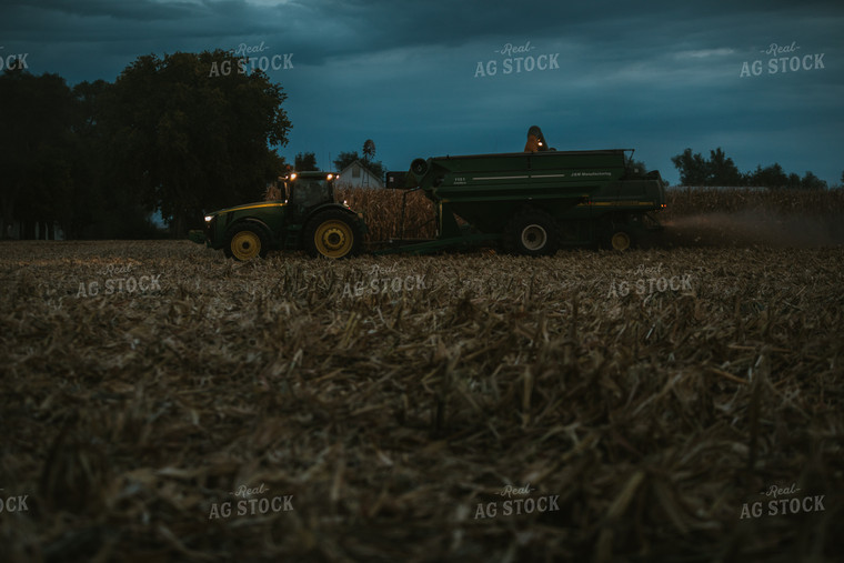 Corn Harvest 6708