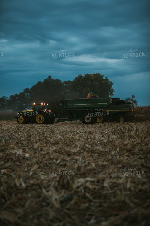 Corn Harvest 6710