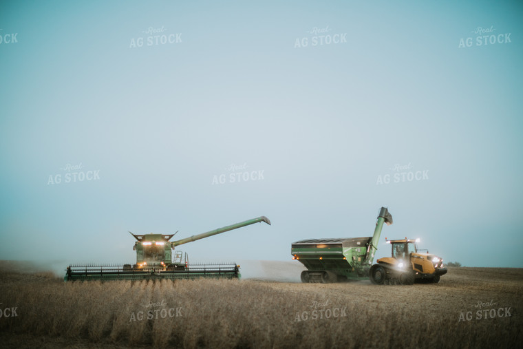 Soybean Harvest 6783