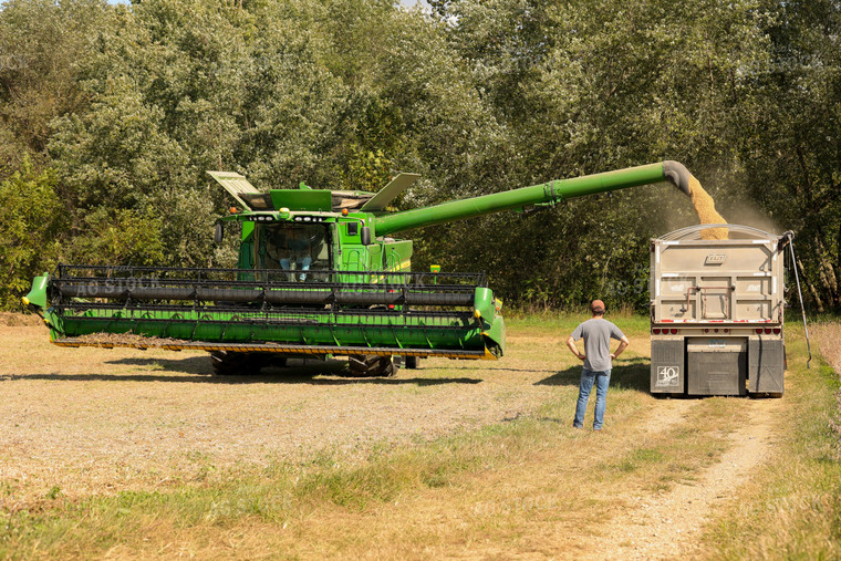 Combine Emptying Soybeans Into Semi 52534