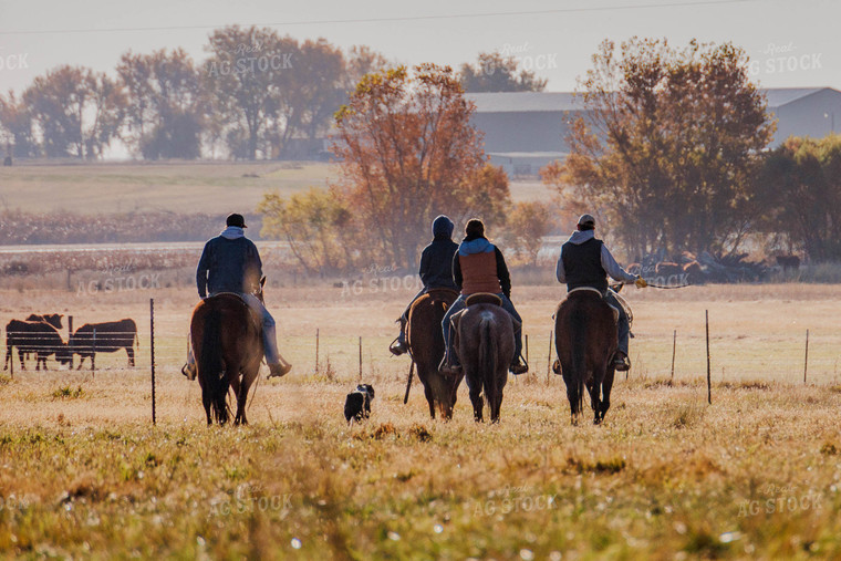 Ranchers on Horses in Pasture 97095