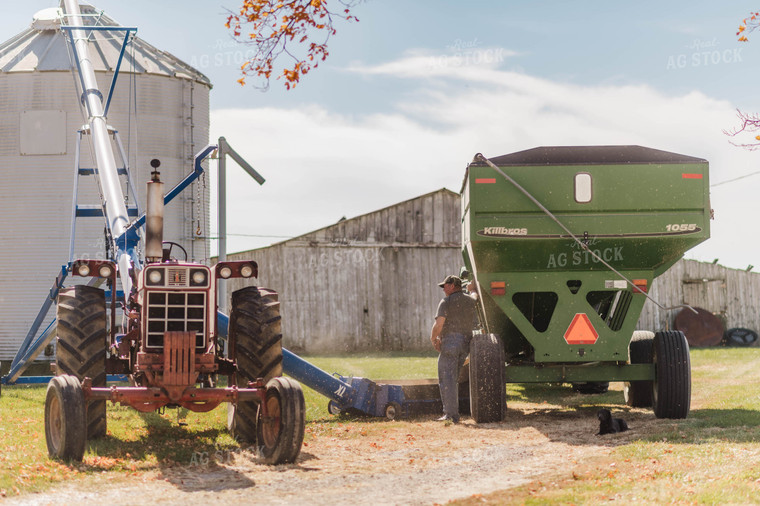 Unloading Grain into Bin 115017