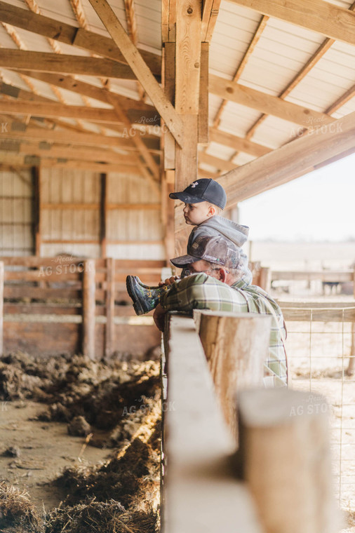 Farmer Holding Farm Boy Over Fence 115028